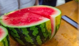 吃瓜长清大学体育生,校园生活新篇章